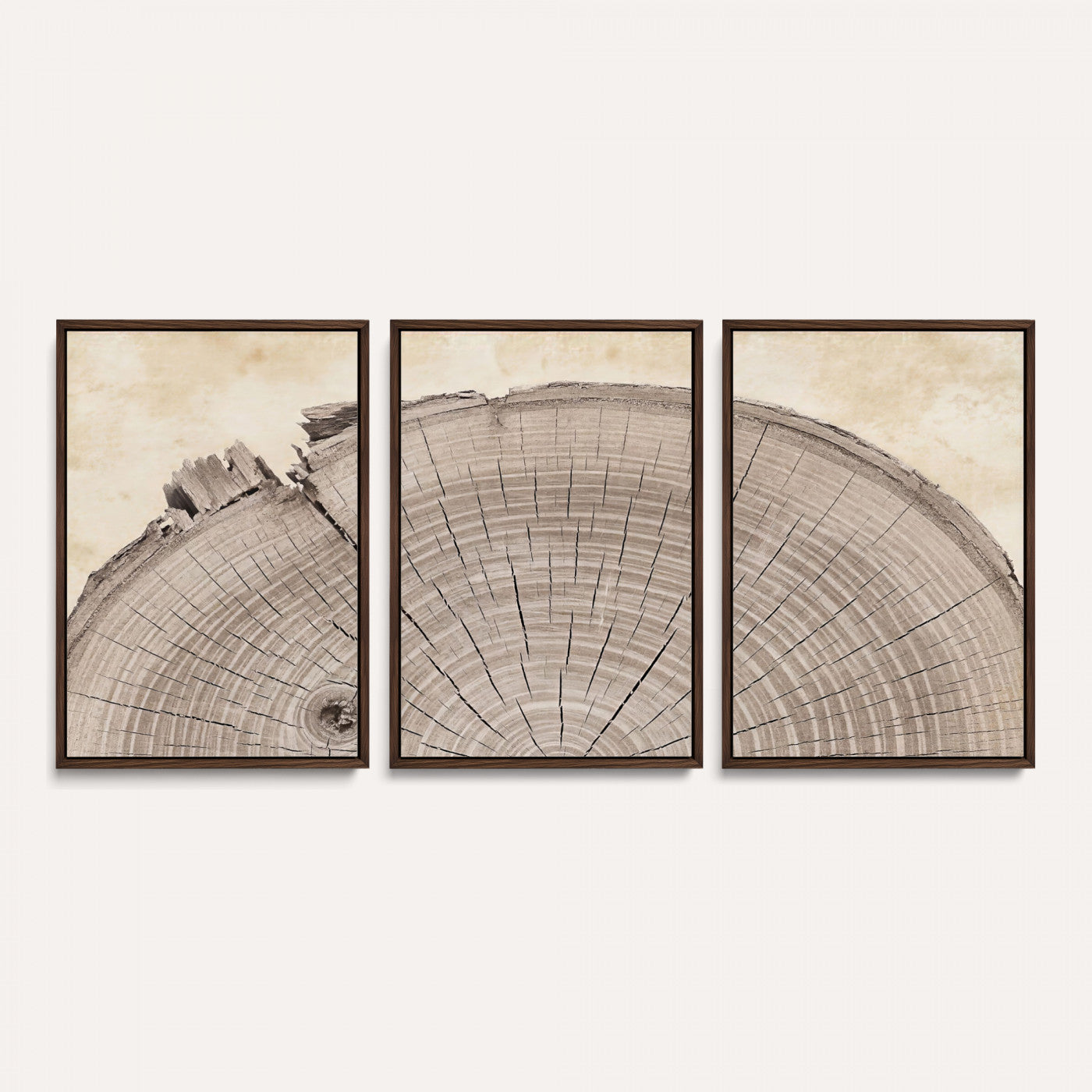 64174838-MGV-CV-60X30-3P - Tree Ring Canvas Wall Art in Neutral Earth Tones, Framed Wood Slice Print for Rustic and Japandi Interiors