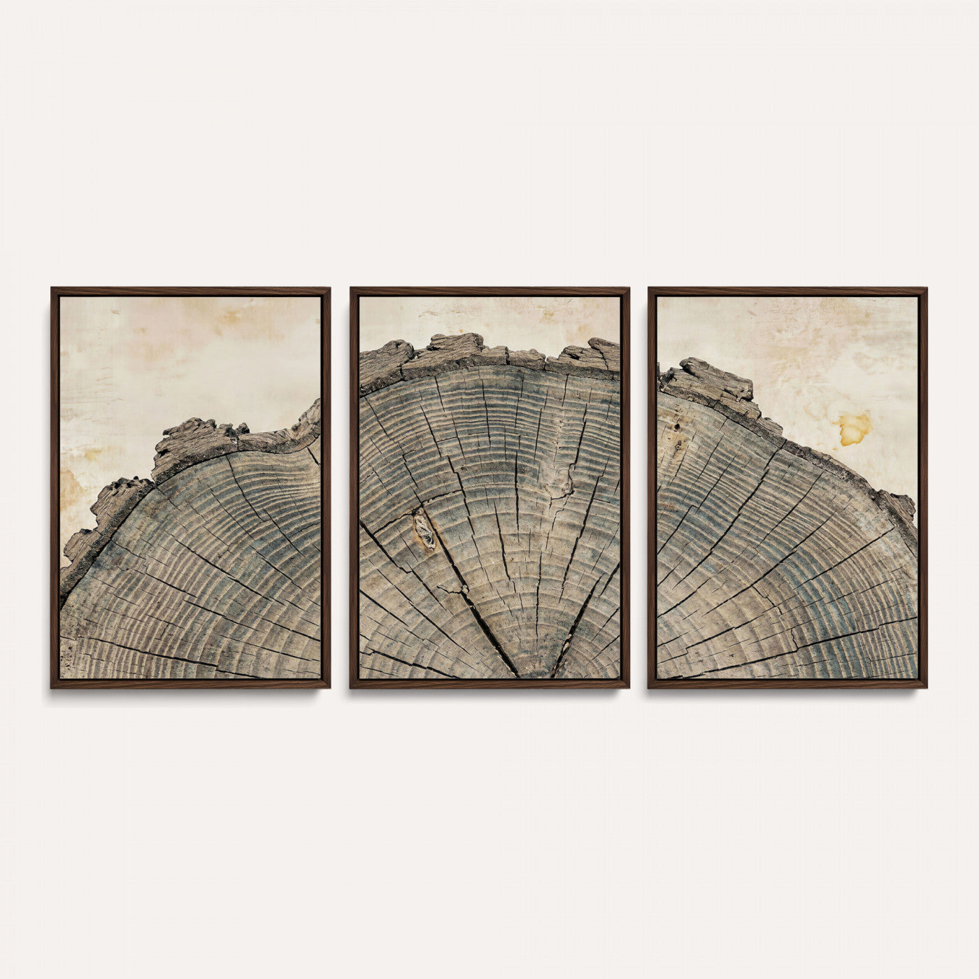 34201080-MGV-CV-60X30-3P - Tree Ring Canvas Wall Art in Neutral Earth Tones, Framed Wood Slice Print for Rustic and Japandi Interiors