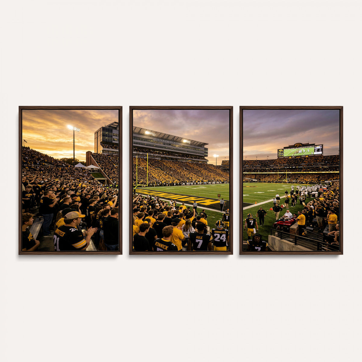 60847729-MGV-CV-36X24 - Stadium Wall Art Canvas Print