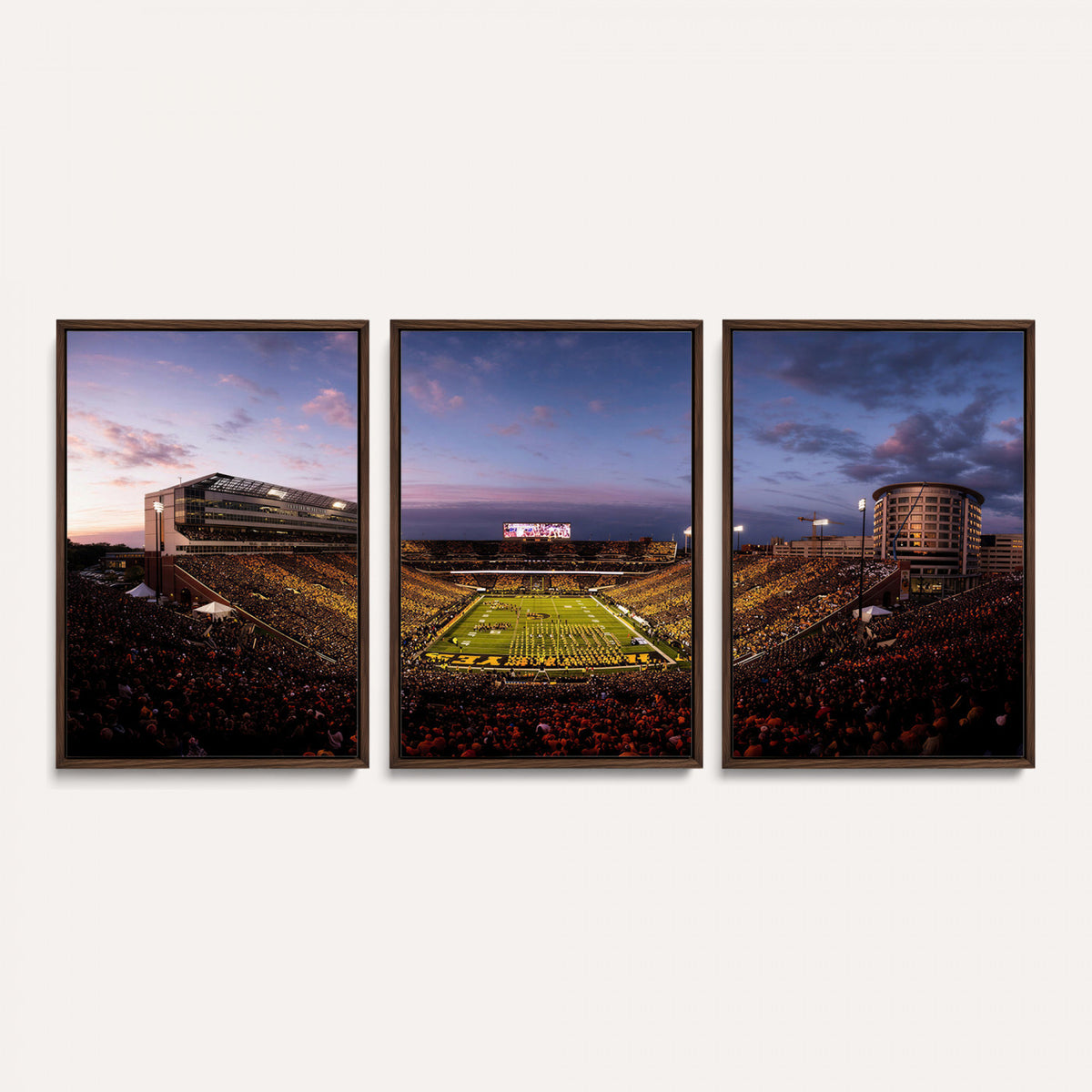 49683861-MGV-CV-36X24 - Stadium Wall Art Canvas Print