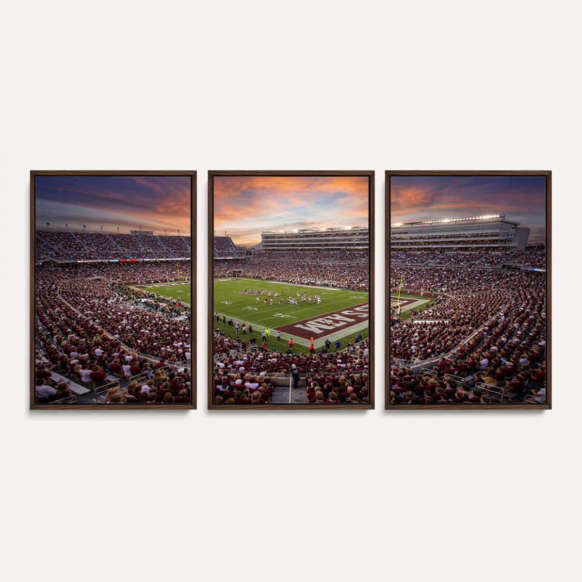 66624578-MGV-CV-36X24 - Stadium Wall Art Canvas Print