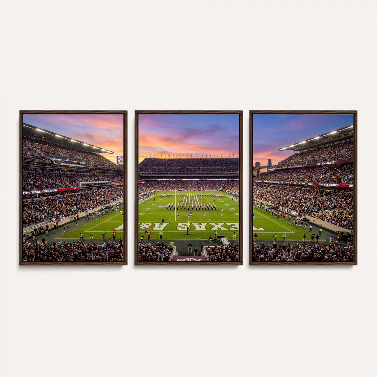 65952219-MGV-CV-36X24 - Stadium Wall Art Canvas Print