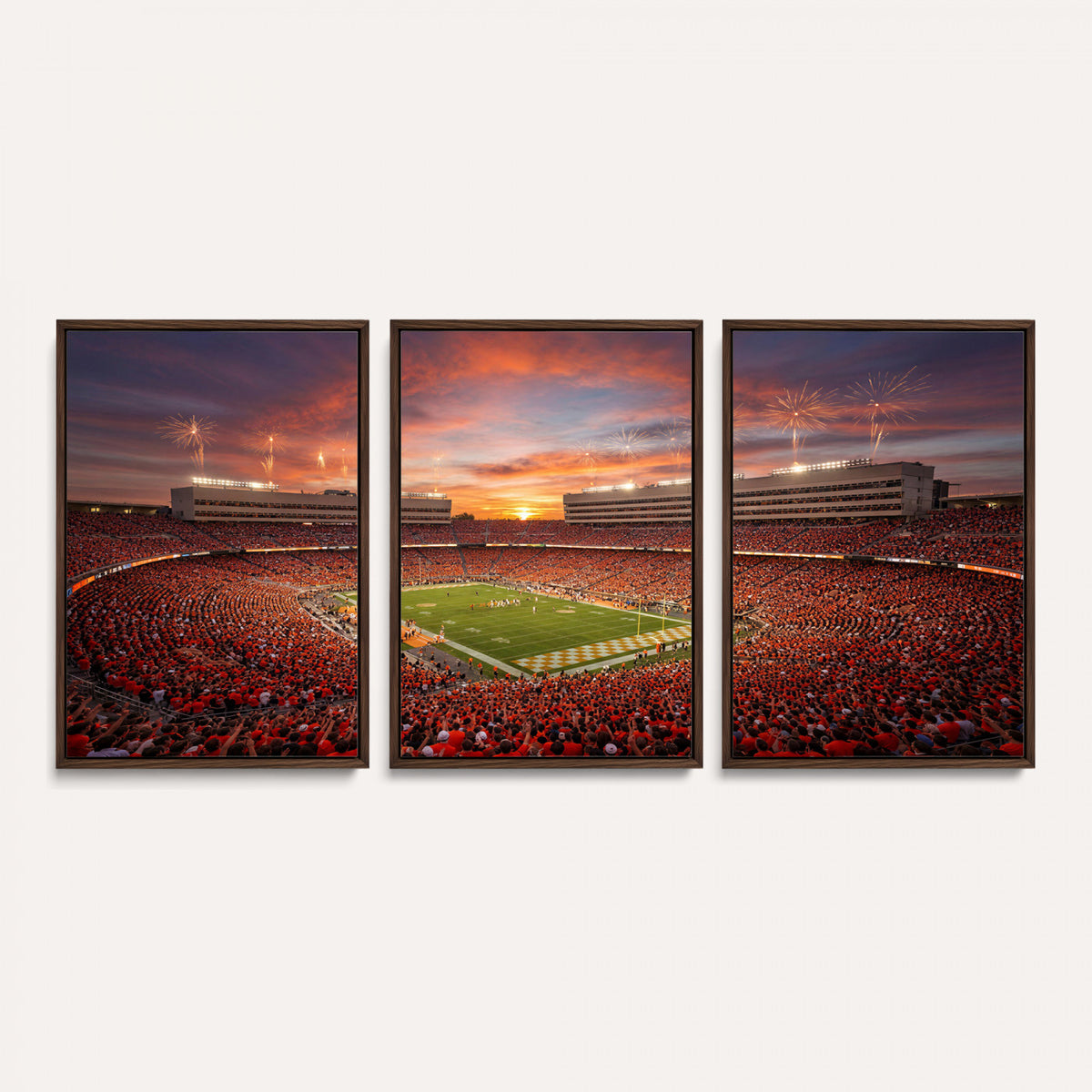 66964685-MGV-CV-36X24 - Stadium Wall Art Canvas Print