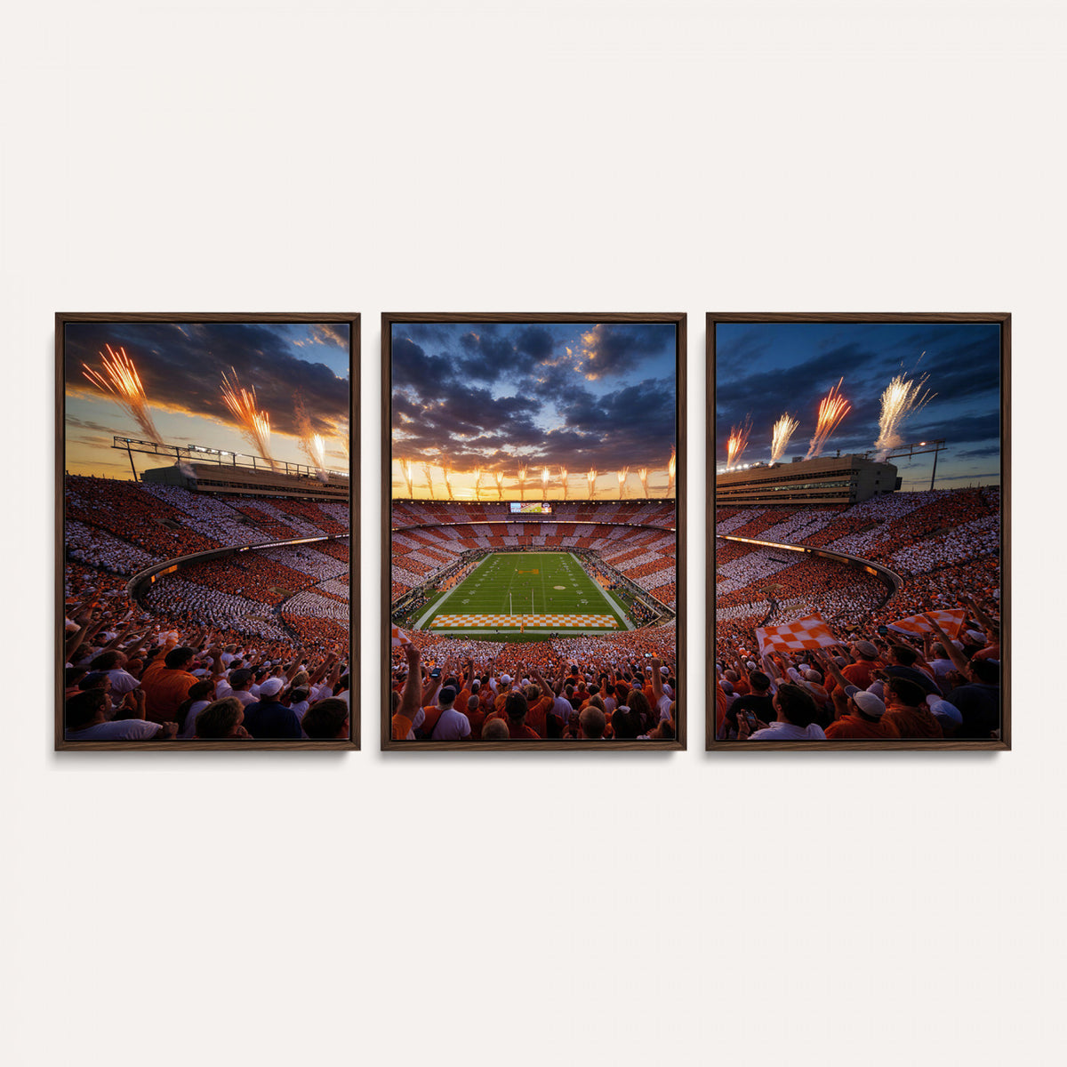 29672818-MGV-CV-36X24 - Stadium Wall Art Canvas Print