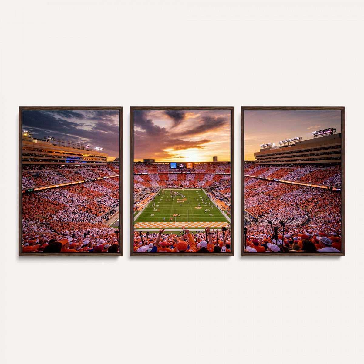 68184875-MGV-CV-36X24 - Stadium Wall Art Canvas Print