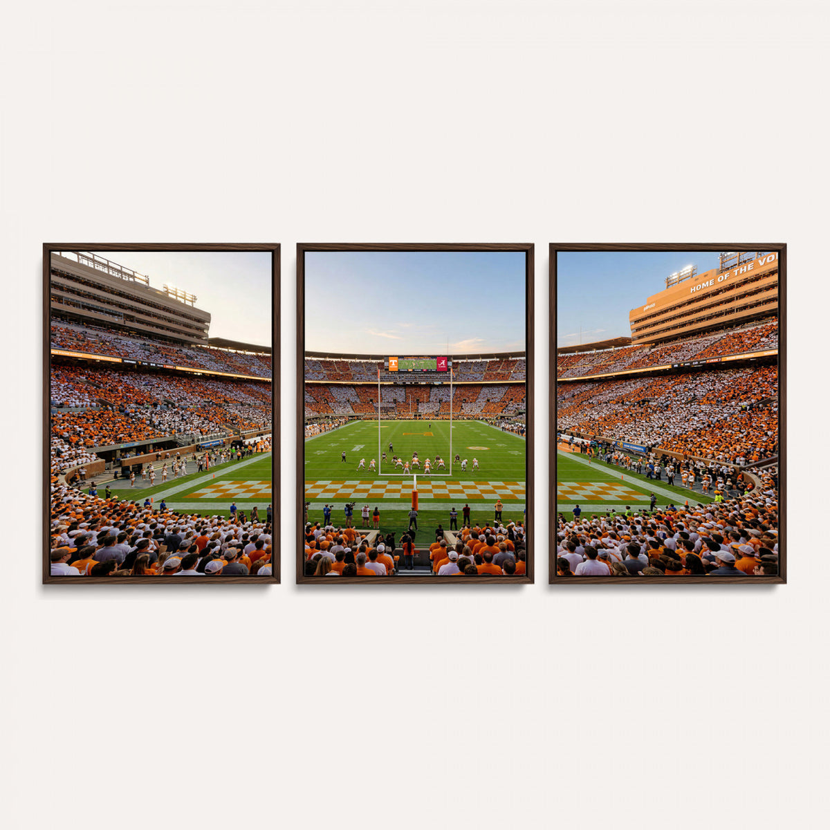 74509135-MGV-CV-36X24 - Stadium Wall Art Canvas Print