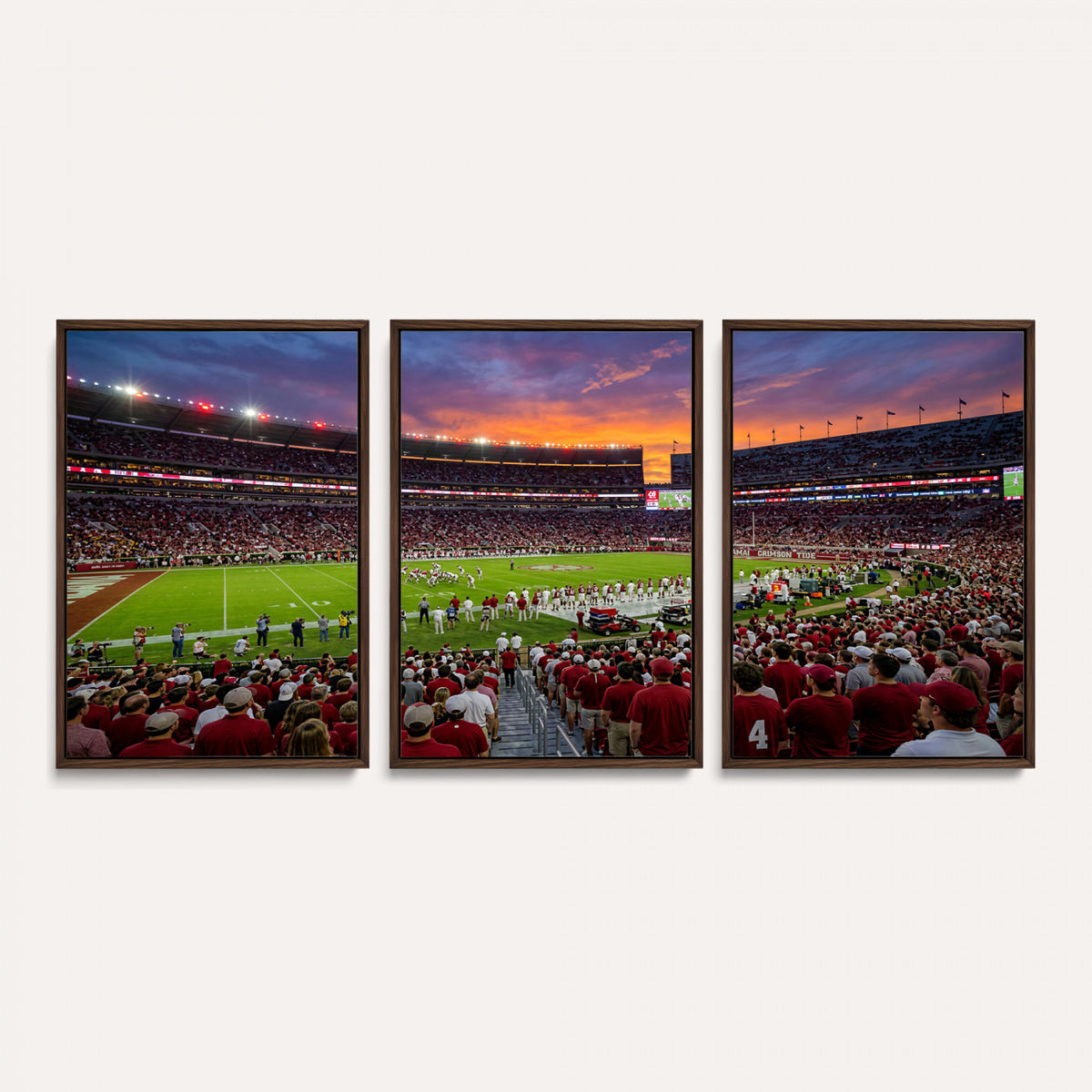 47822048-MGV-CV-36X24 - Stadium Wall Art Canvas Print