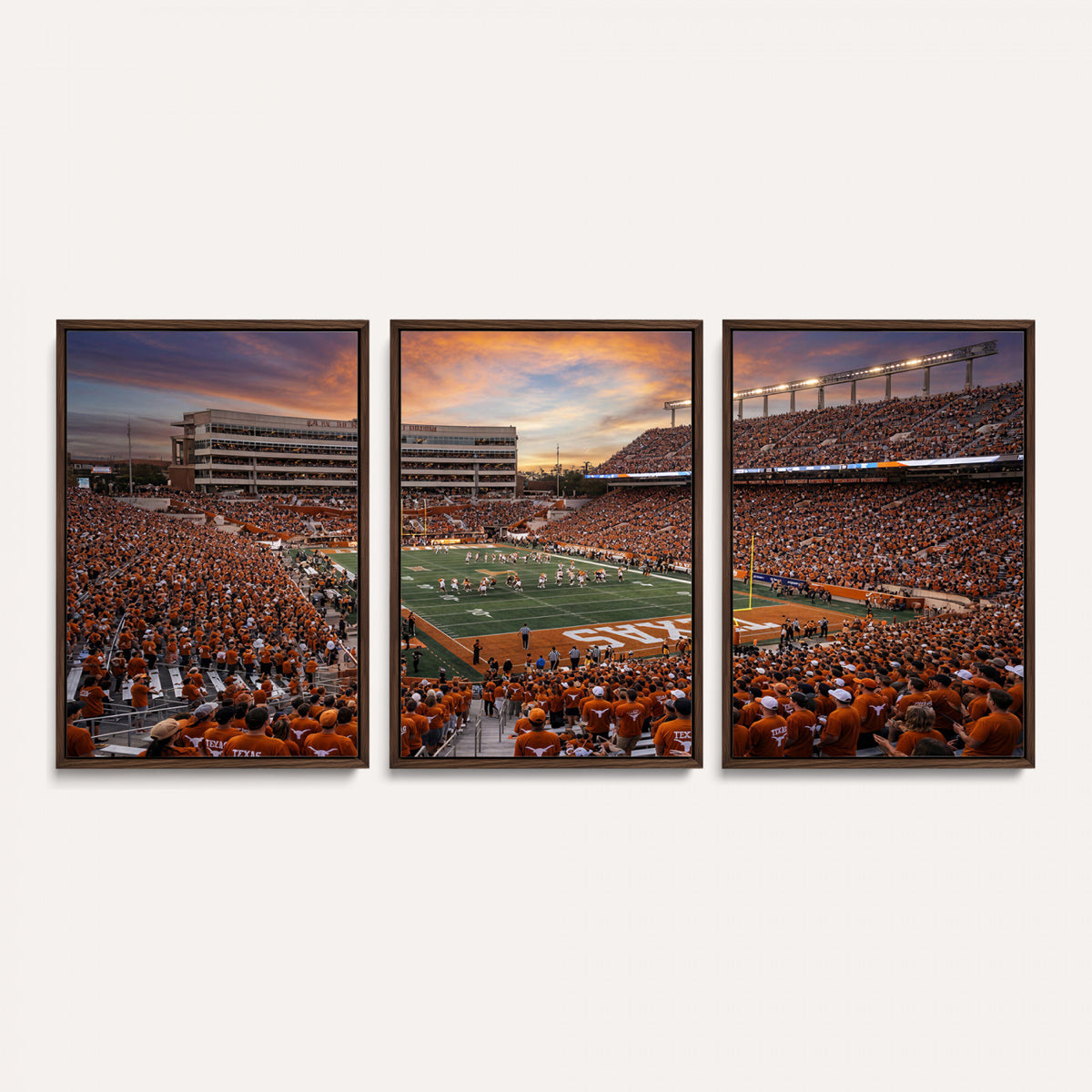 23560699-MGV-CV-36X24 - Stadium Wall Art Canvas Print