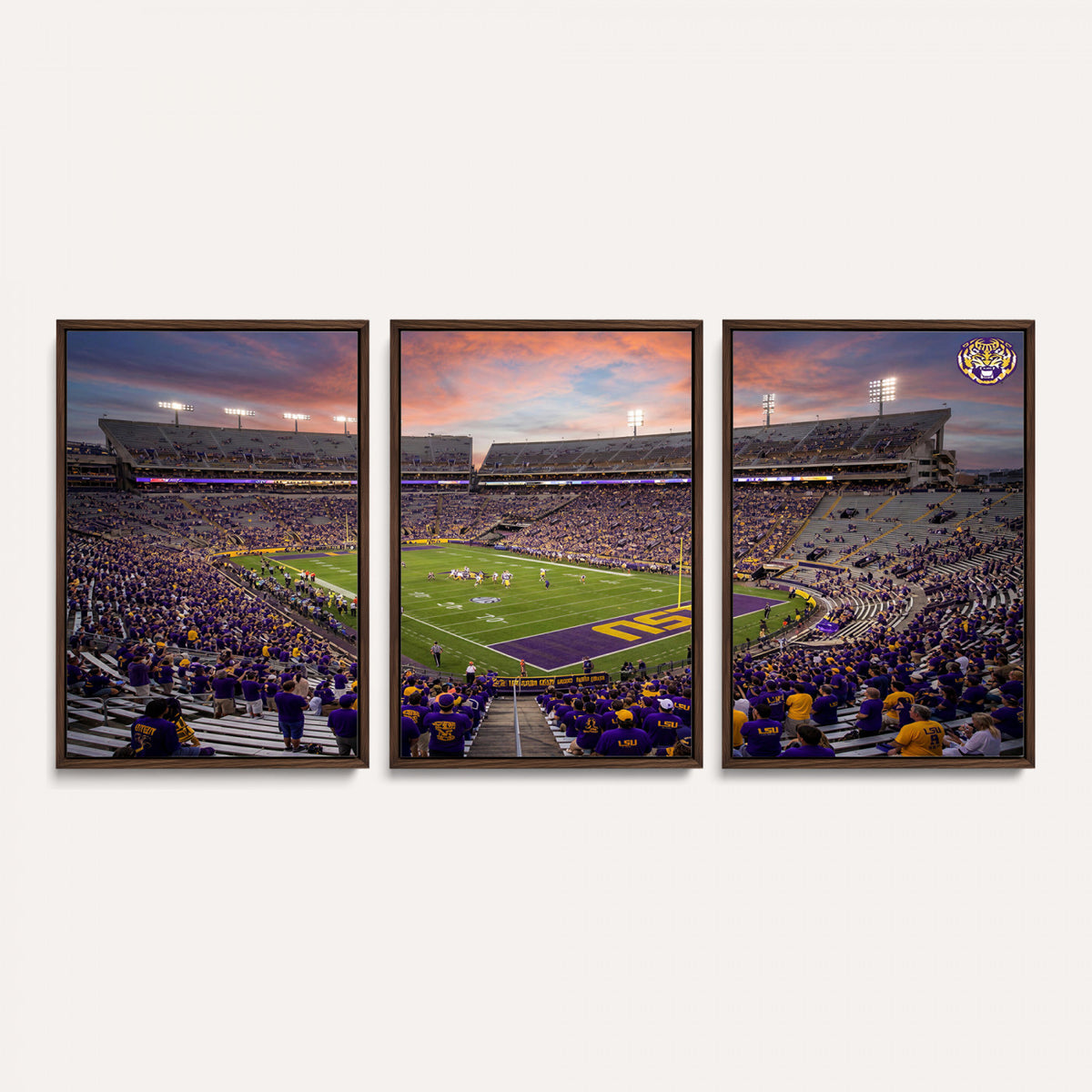 20281385-MGV-CV-36X24 - Stadium Wall Art Canvas Print