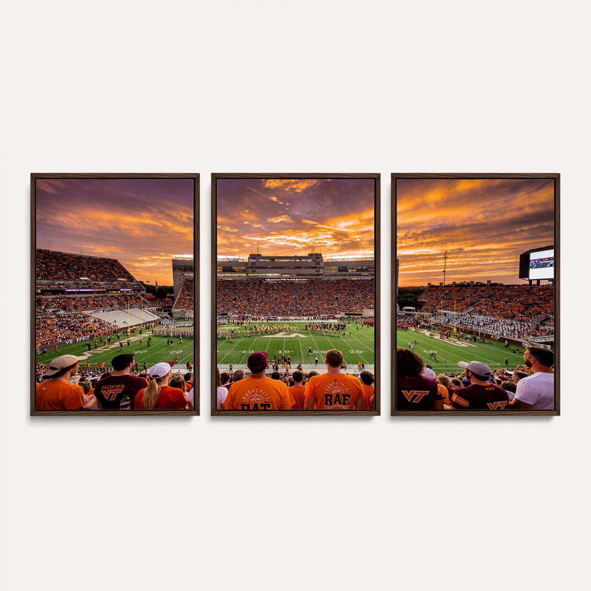 25873880-MGV-CV-36X24 - Stadium Wall Art Canvas Print