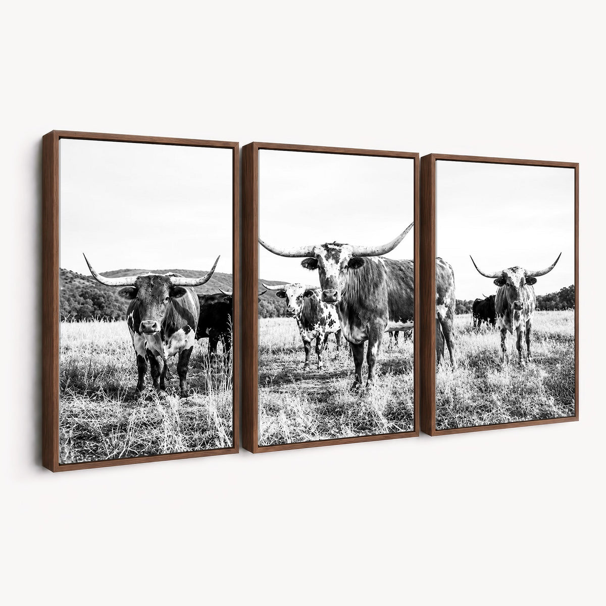 73228277-MGV-CV-48X32-3P - Black and White Longhorn Cattle Canvas Print, Western Ranch Wall Decor