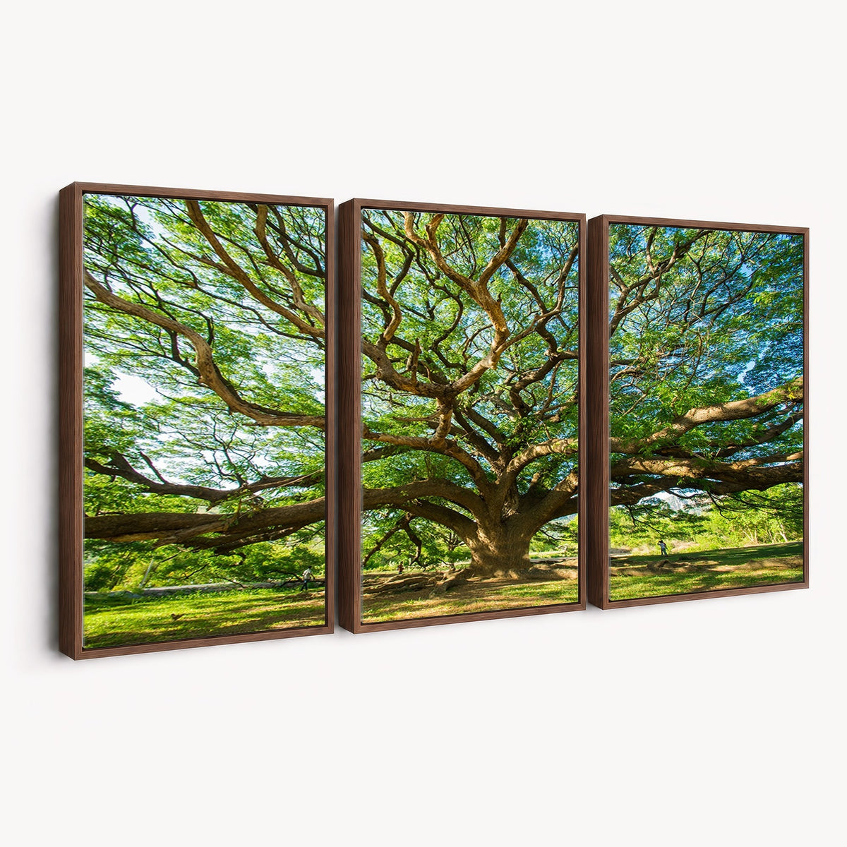 70569-MGV-CV-24X16 - Majestic Oak Tree Wall Art | Serene Nature Canvas Print with Spreading Branches