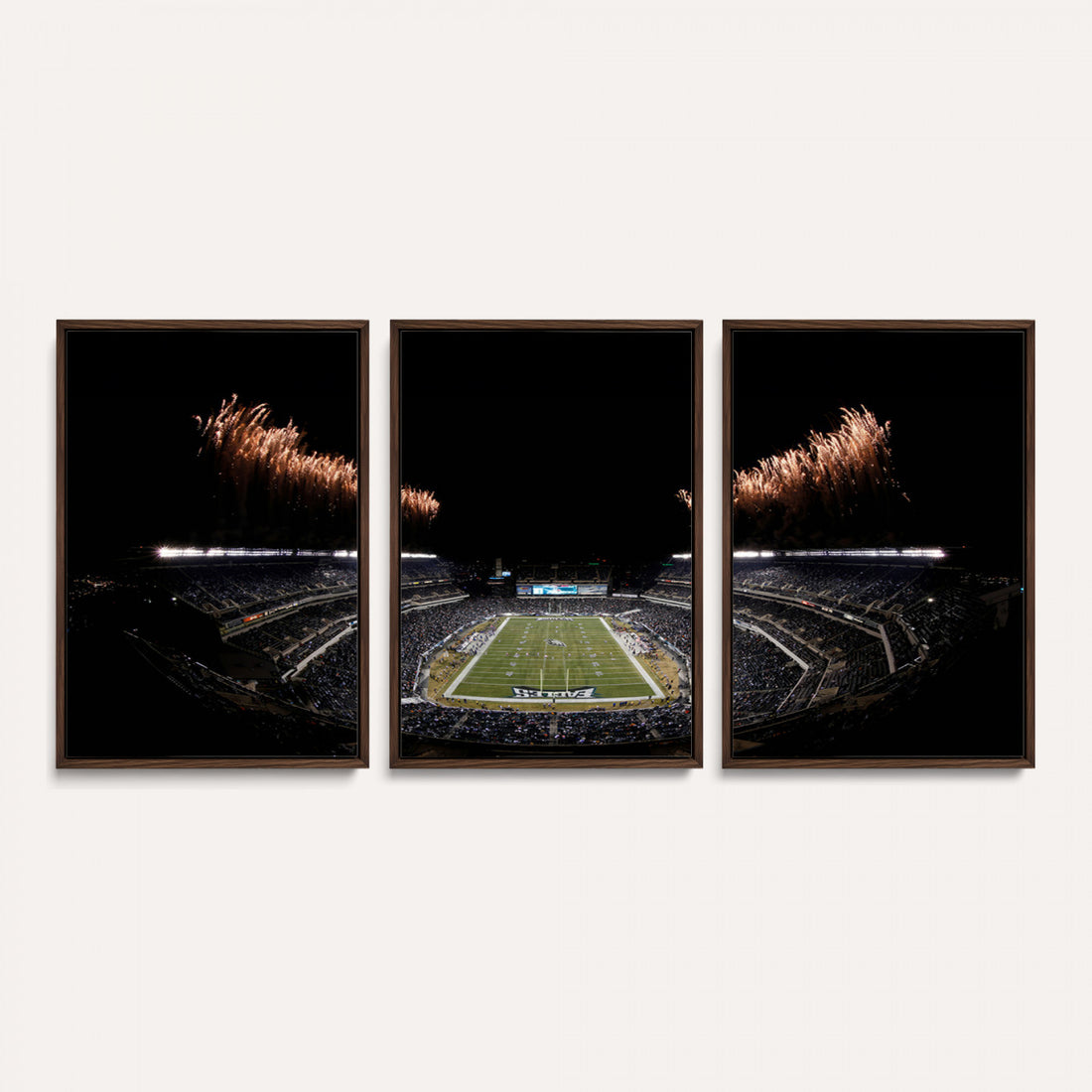 Eagles Field Stadium Wall Art, Philadelphia Eagles Football, Framed and Ready to Hang