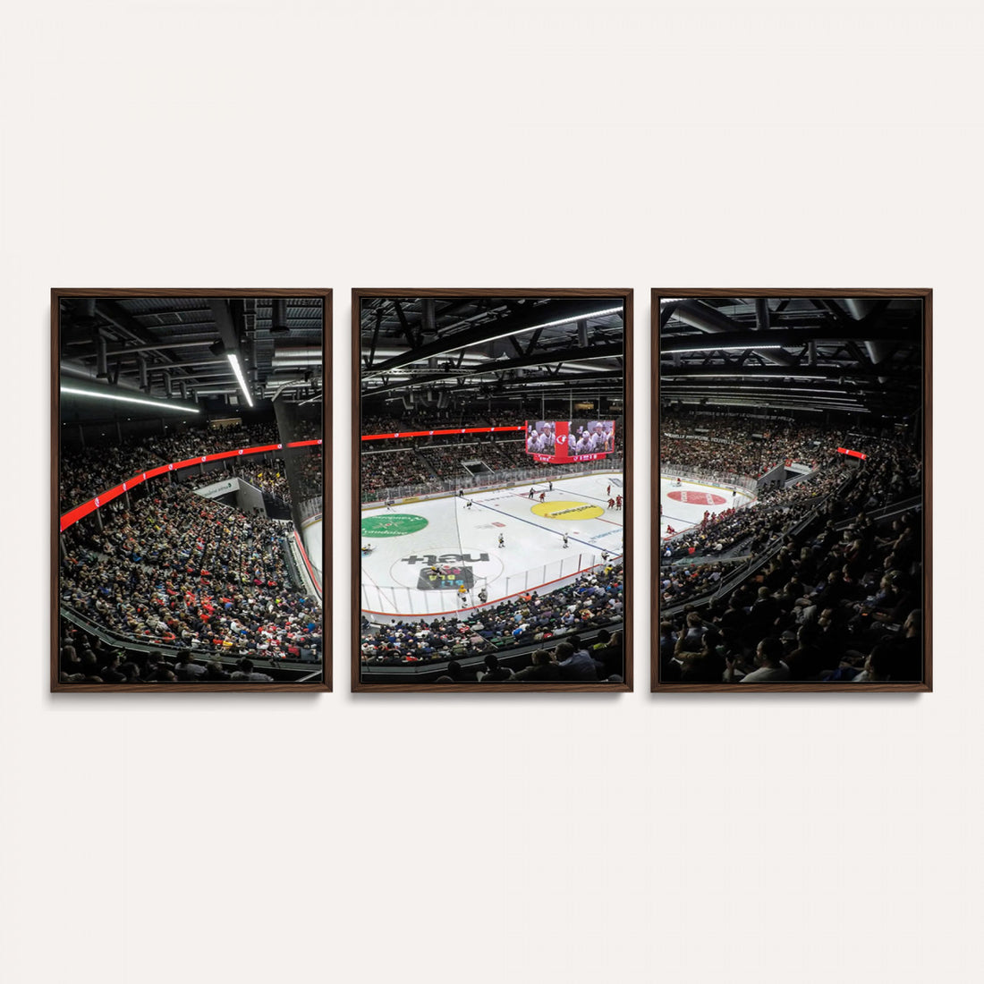Vaudoise Lausanne Ice Hockey Arena Stadium Wall Art Canvas
