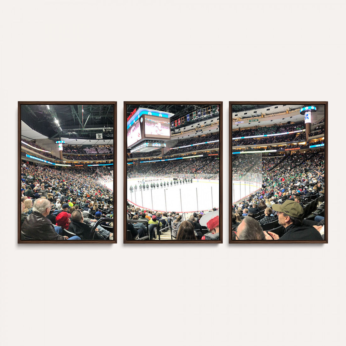 Xcel Energy Center St Paul Minnesota Wild Ice Hockey Stadium