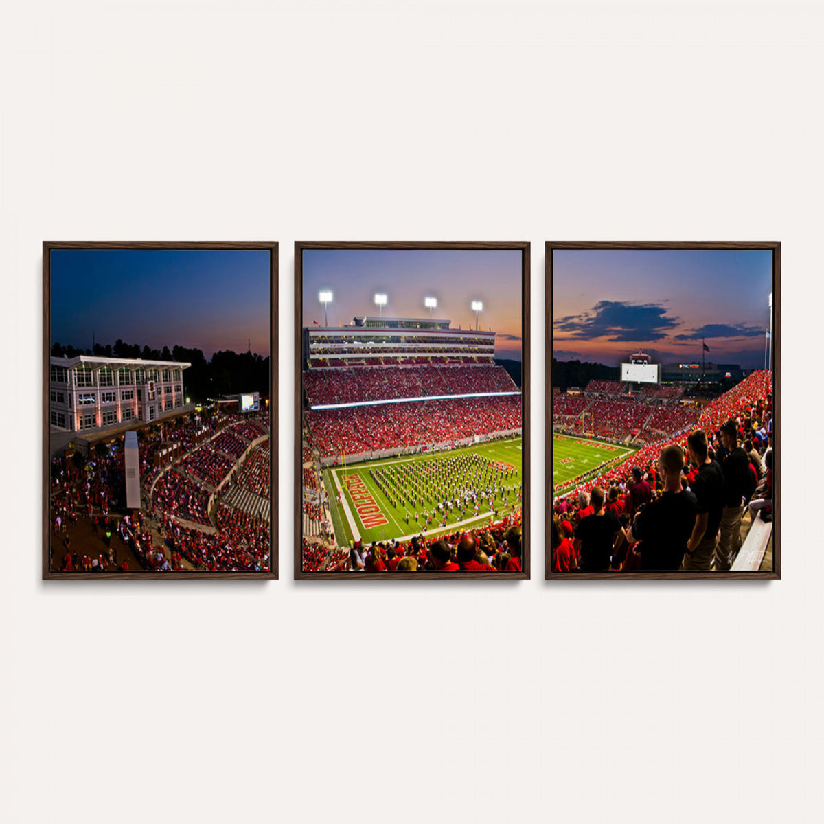 87655-MGV-CV-36X24 - NC State Wolfpack Football Team Print - Raleigh Carter-Finley Stadium Wall Art Canvas Print