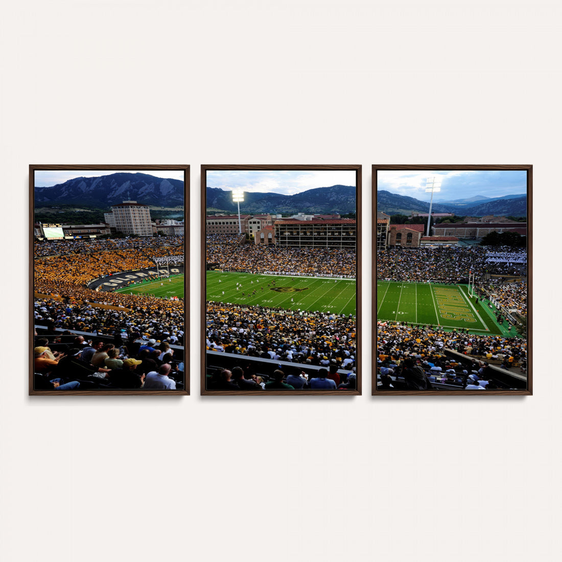 Colorado Buffaloes Canvas Print, Boulder Folsom Field