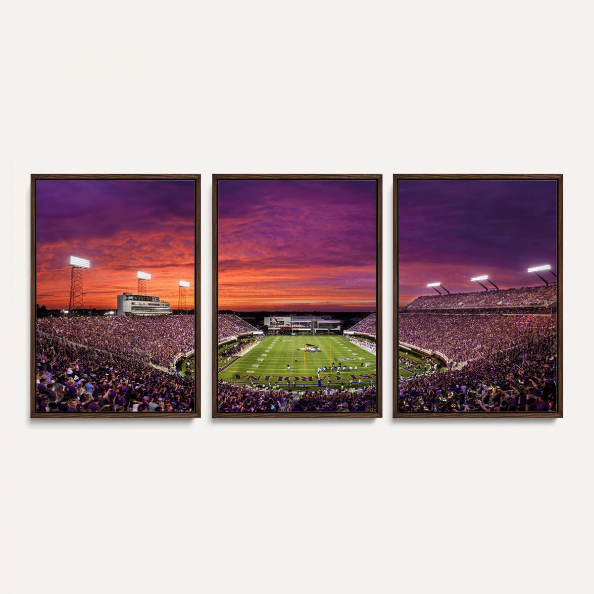88575-MGV-CV-36X24 - East Carolina University Pirates Football Print Canvas- Greenville Dowdy-Ficklen Stadium Wall Art