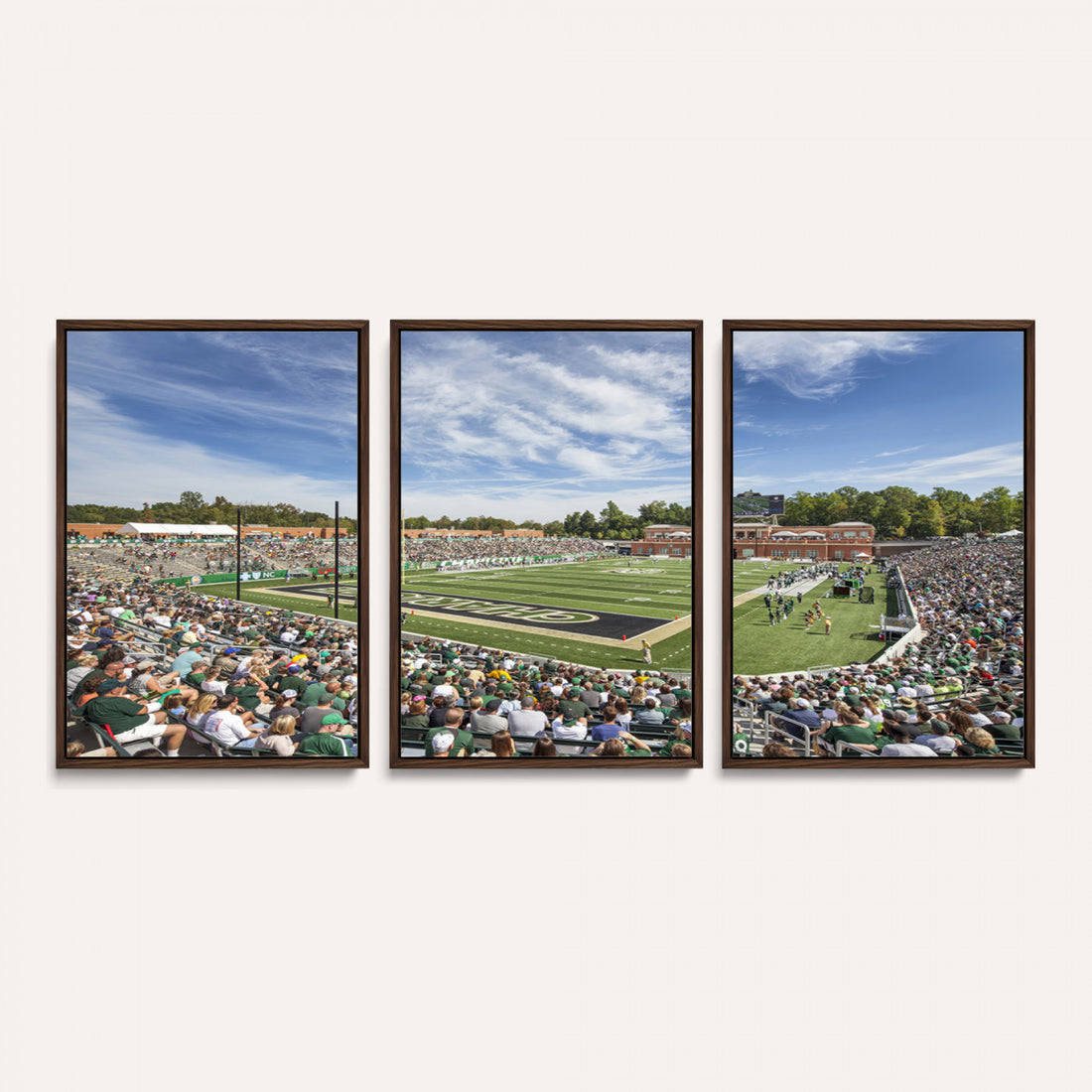 University of Charlotte 49ers Football Team Print, Framed and Ready to Hang