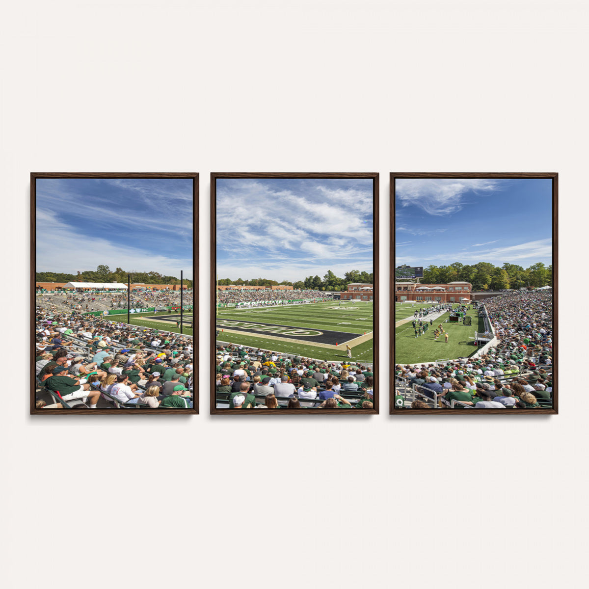 67799-MGV-CV-36X24 - University of Charlotte 49ers Football Team Print - Charlotte Jerry Richardson Stadium Canvas Print