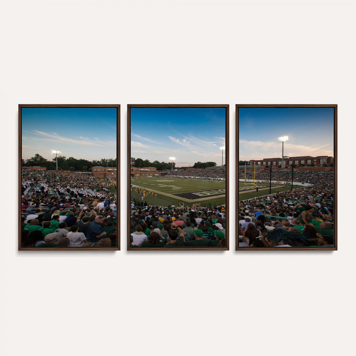 12290-MGV-CV-36X24 - University of Charlotte 49ers Football Team Print - Charlotte Jerry Richardson Stadium Wall Art