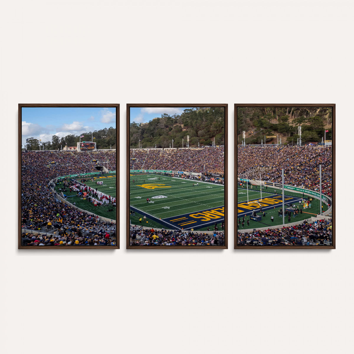 38054-MGV-CV-36X24 - University of California Golden Bears Football Team Print - Berkeley California Memorial Stadium Art