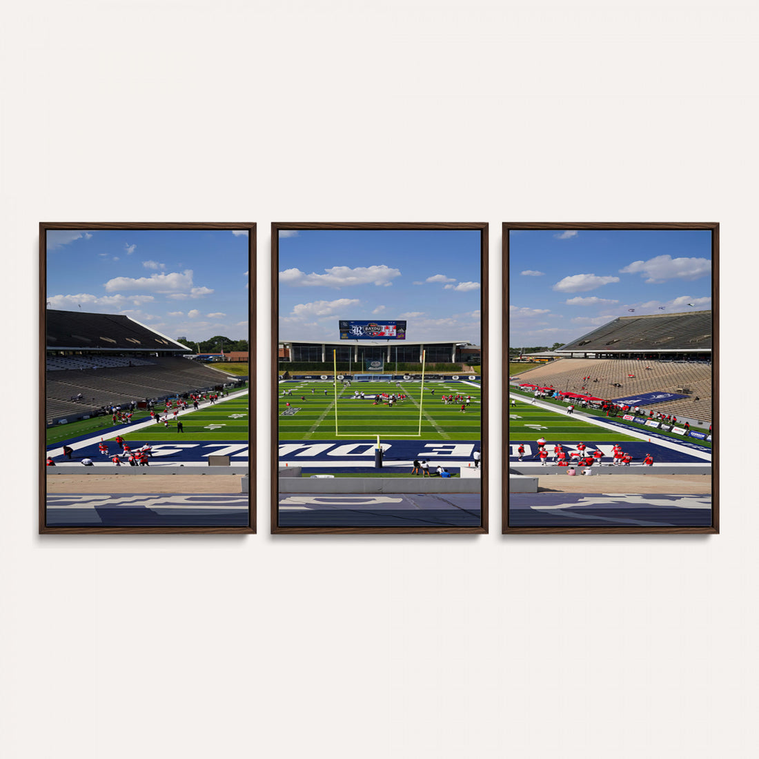 Rice University Owls Football Team Print, Houston Rice Stadium