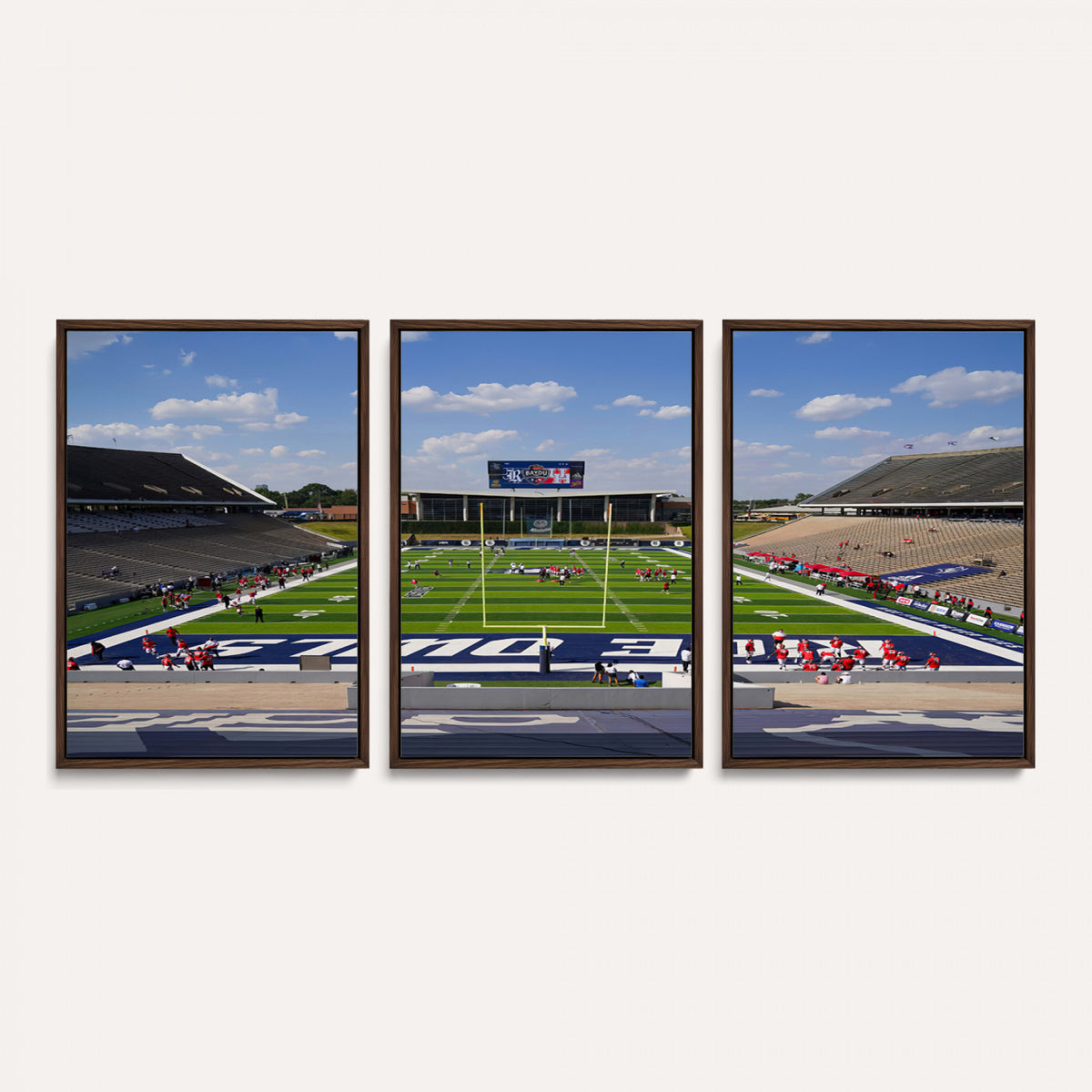 92248-MGV-CV-36X24 - Rice University Owls Football Team Print, Houston Rice Stadium