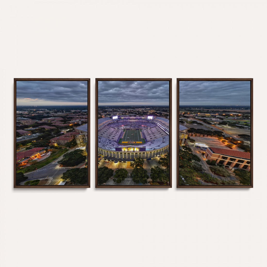 The Louisiana State University Tigers Football Team Print