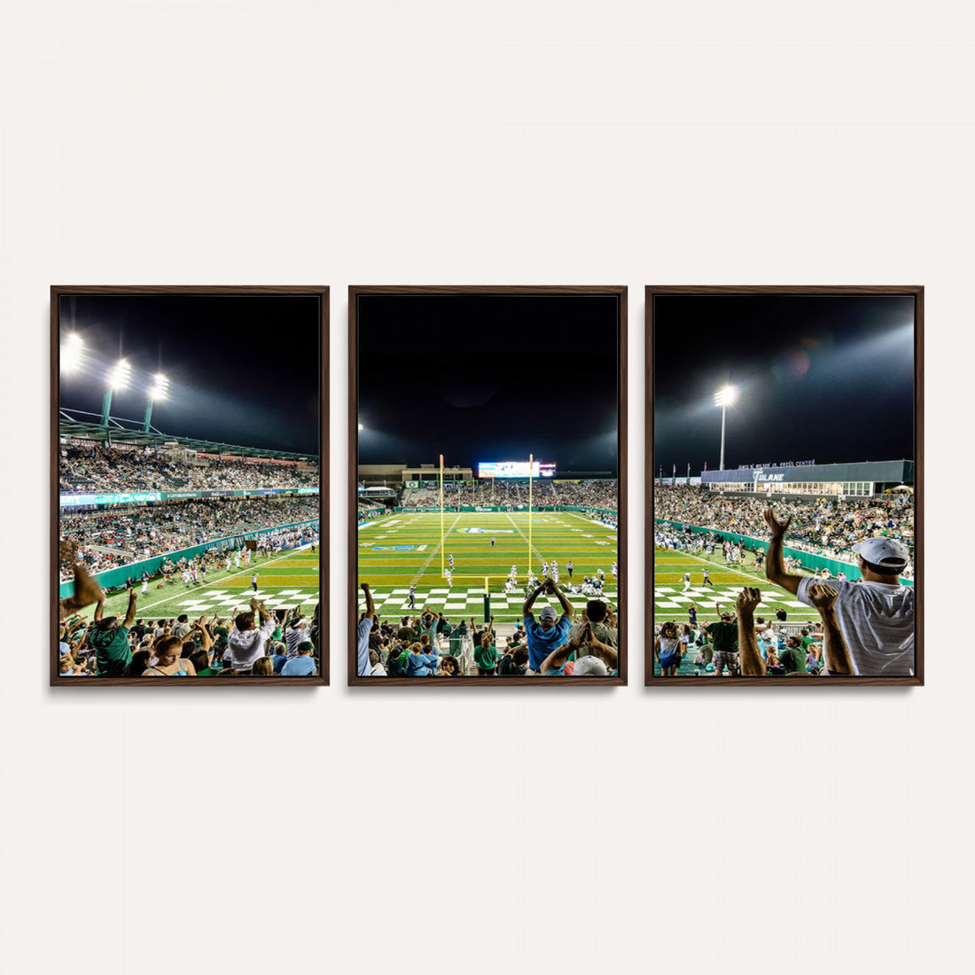 The Tulane University Green Wave Football Team Print, New Orleans Yulman Stadium