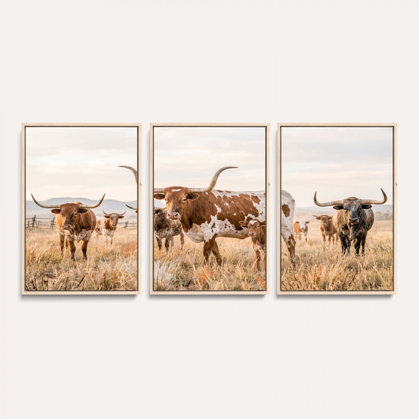 62336425AC-MGV-CV-36X24 - Texas Longhorn Canvas Wall Art, Rustic Farm Animal Photography Print, Farmhouse Country Decor, Western Ranch Art
