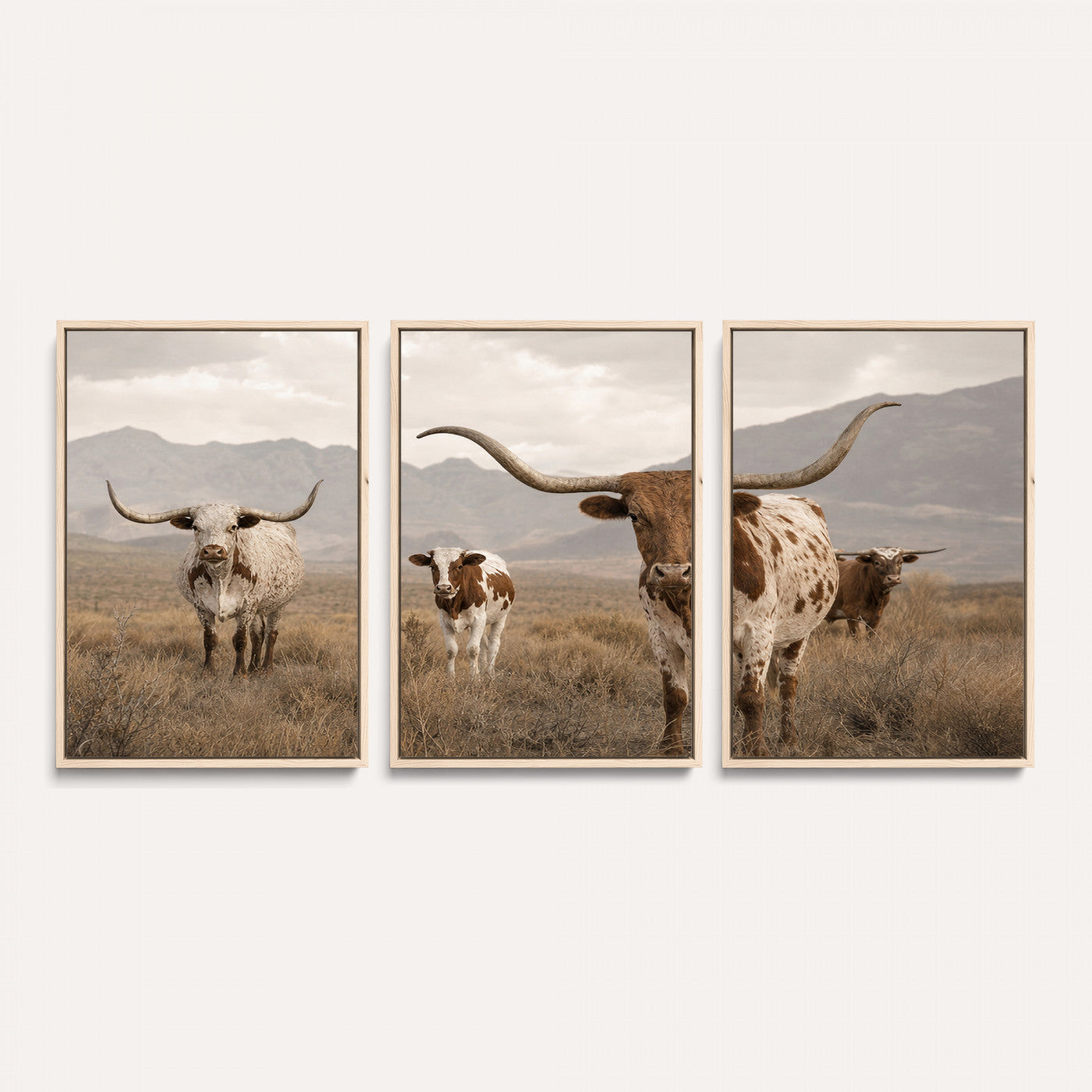 62336425AD-MGV-CV-36X24 - Rustic Texas Longhorn Cow Canvas Wall Art Print, Rustic Farm Animal Photography Print, Farmhouse Country Decor, Western Ranch Art