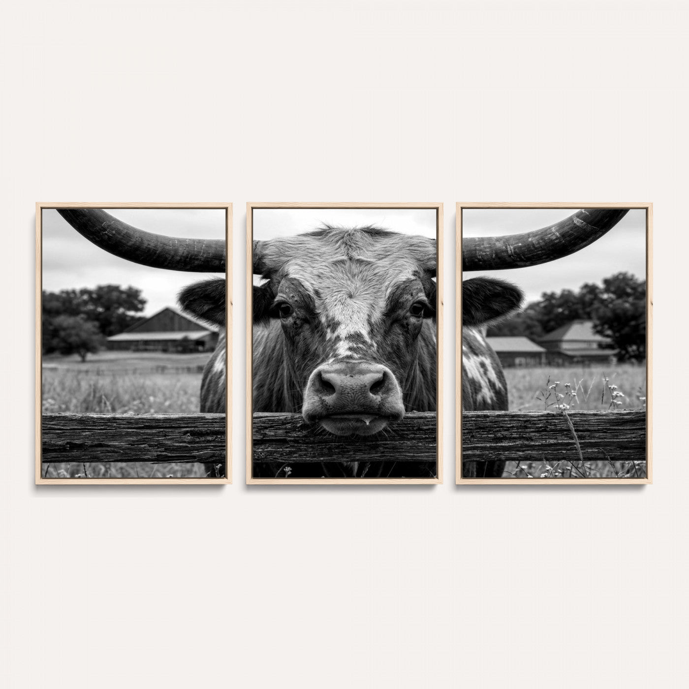 59378683B-MGV-CV-36X24 - Black White Texas Longhorn Bull Canvas Wall Art, Western Ranch Cattle Photography Print, Rustic Farmhouse Cowboy Decor Artwork