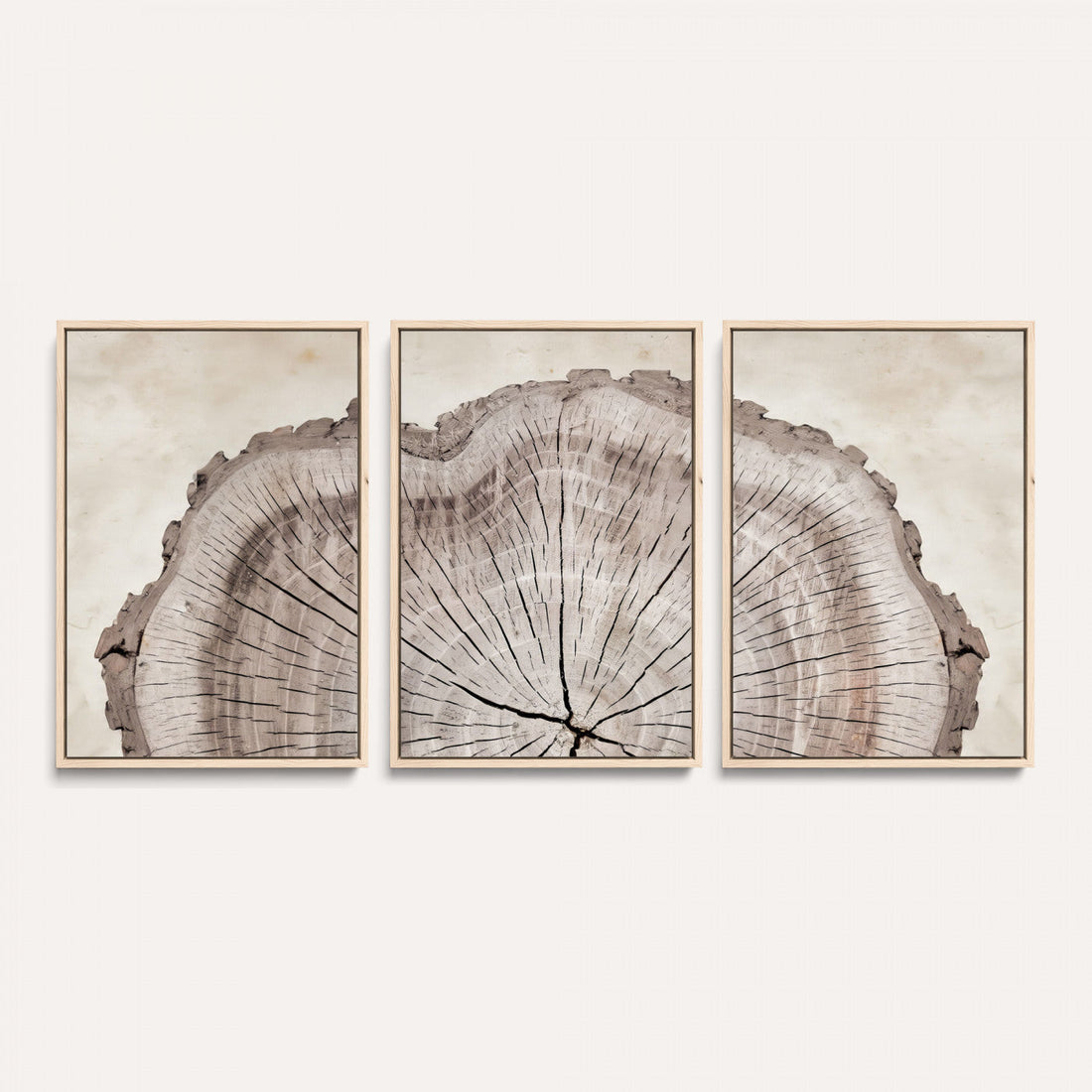 Tree Ring Canvas Wall Art in Neutral Earth Tones, Bedroom Wall Decor