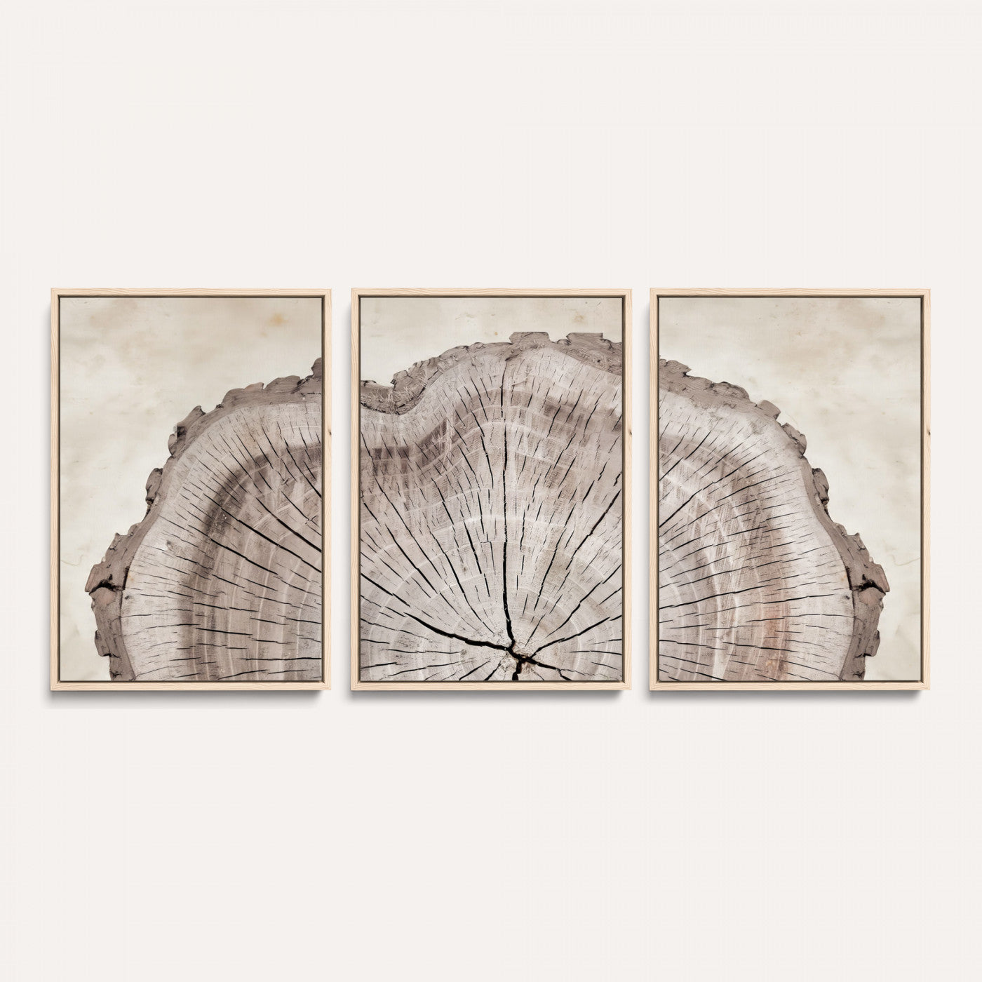 87833480-MGV-CV-60X30-3P - Tree Ring Canvas Wall Art in Neutral Earth Tones, Framed Wood Slice Print for Rustic and Japandi Interiors