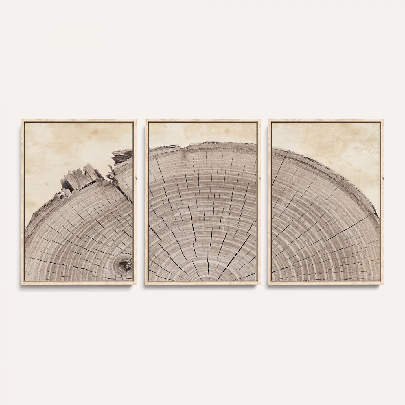 64174838-MGV-CV-60X30-3P - Tree Ring Canvas Wall Art in Neutral Earth Tones, Framed Wood Slice Print for Rustic and Japandi Interiors