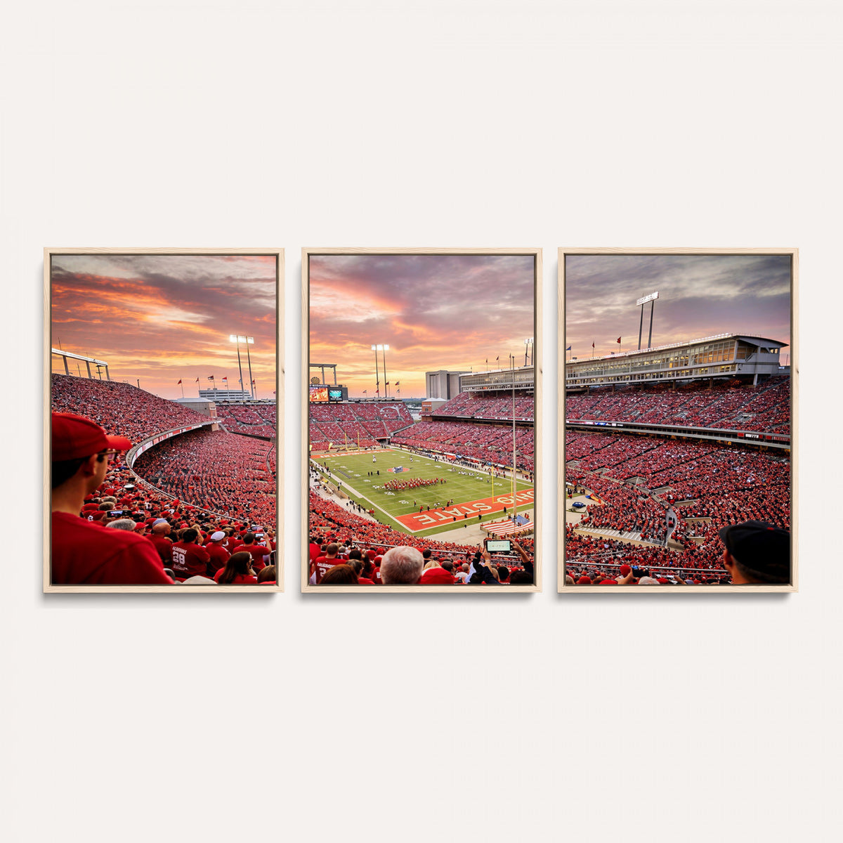 94754966-MGV-CV-36X24 - Stadium Wall Art Canvas Print