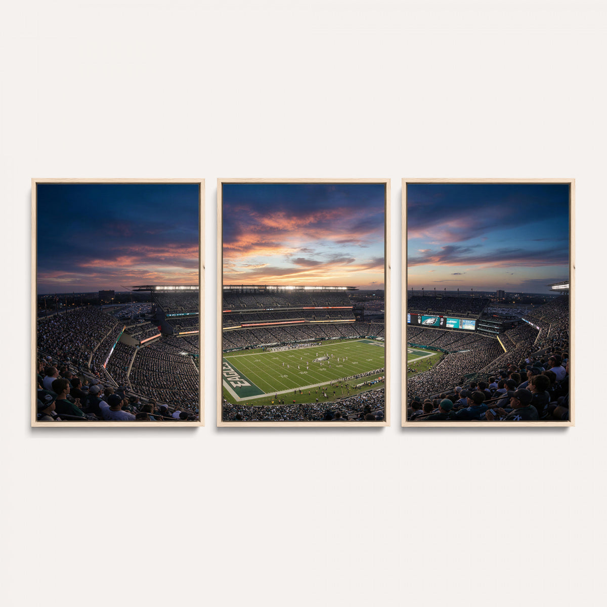 59208973-MGV-CV-36X24 - Stadium Wall Art Canvas Print