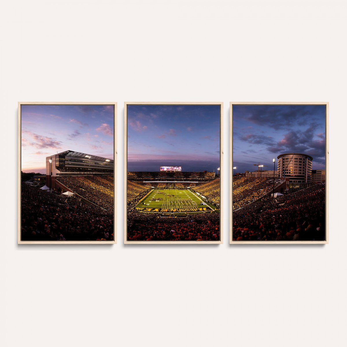 49683861-MGV-CV-36X24 - Stadium Wall Art Canvas Print