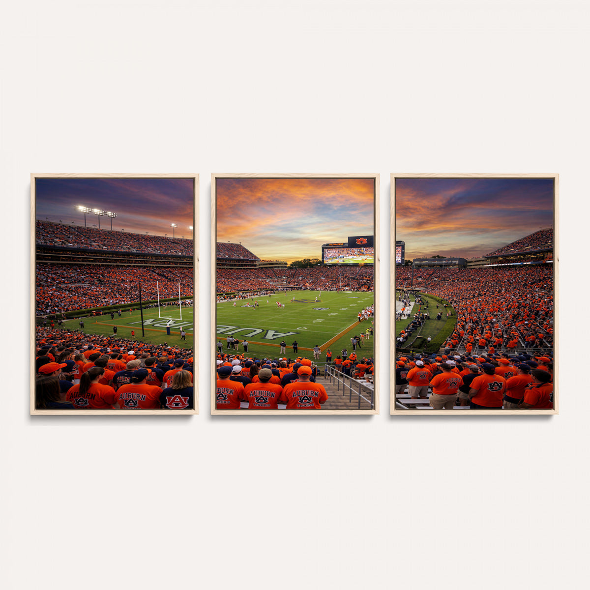 46347891-MGV-CV-36X24 - Stadium Wall Art Canvas Print