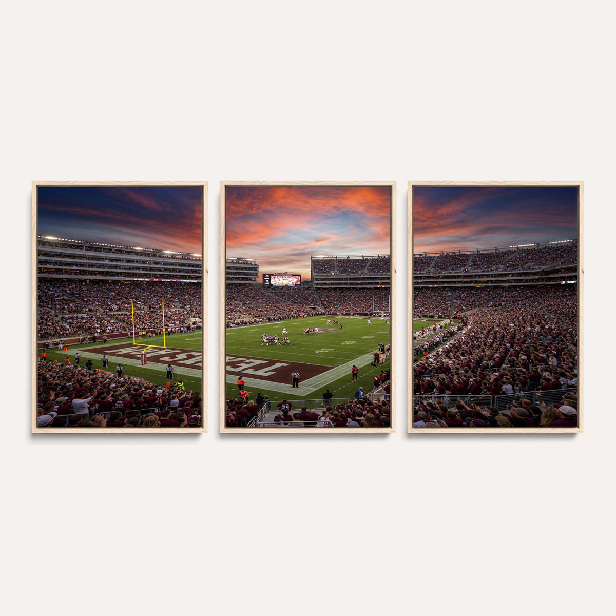 44328991-MGV-CV-36X24 - Stadium Wall Art Canvas Print
