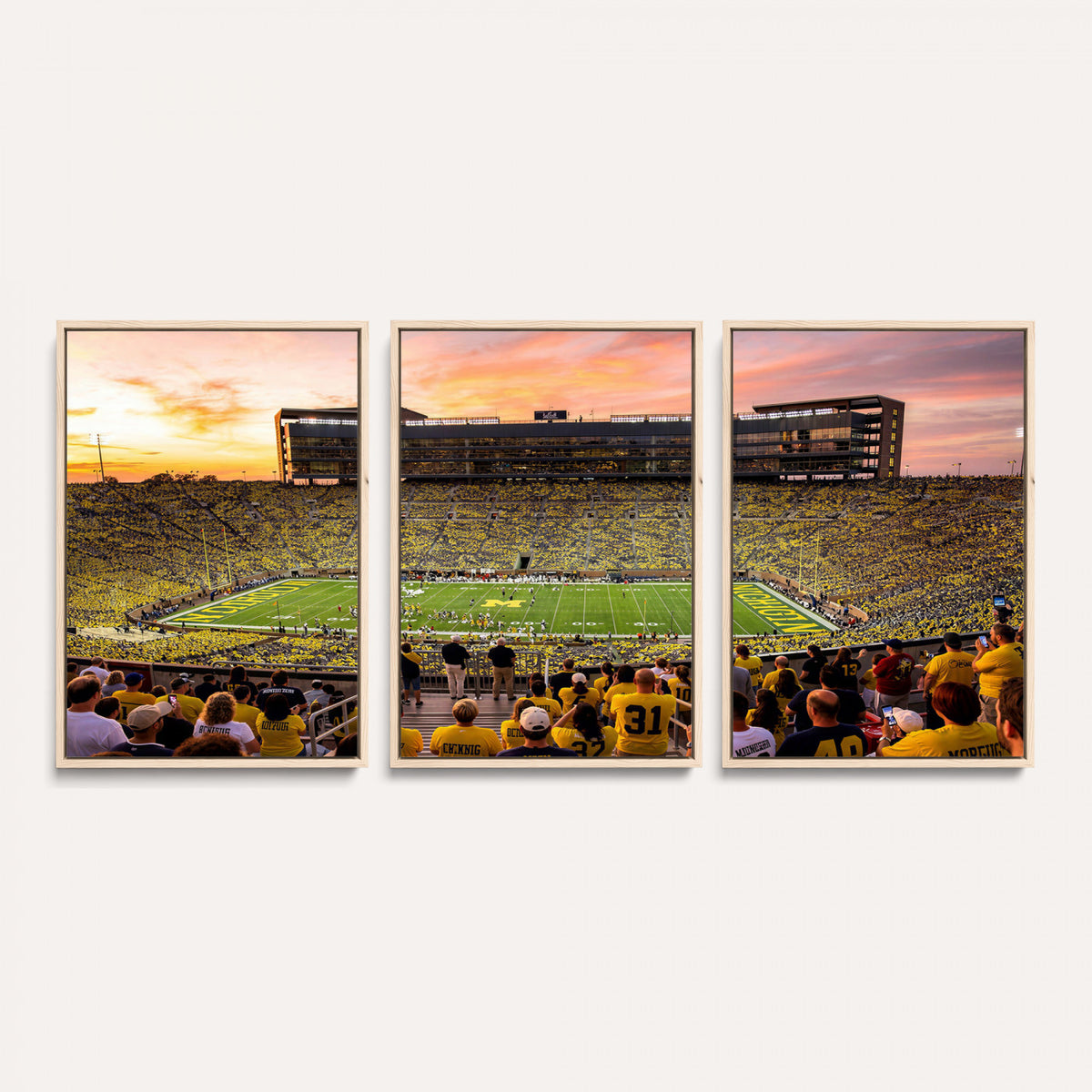 27265223-MGV-CV-36X24 - Stadium Wall Art Canvas Print