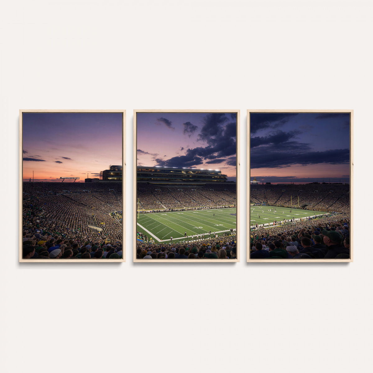 48837941-MGV-CV-36X24 - Stadium Wall Art Canvas Print