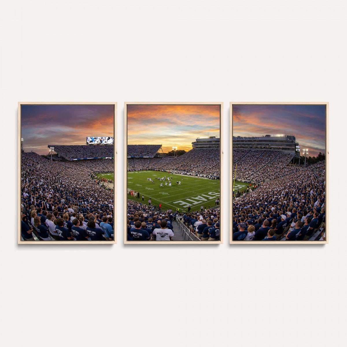 29008668-MGV-CV-36X24 - Stadium Wall Art Canvas Print