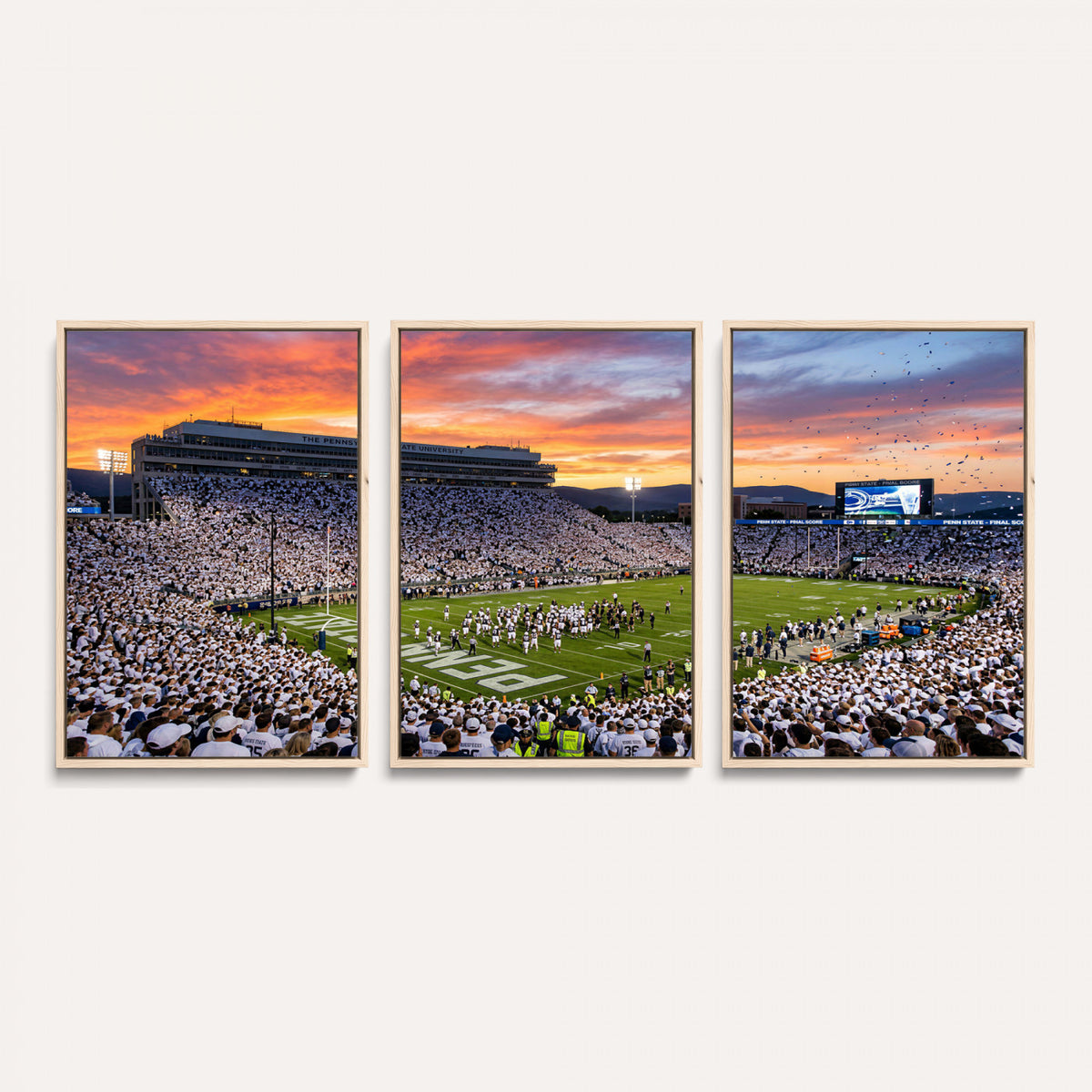 37057330-MGV-CV-36X24 - Stadium Wall Art Canvas Print