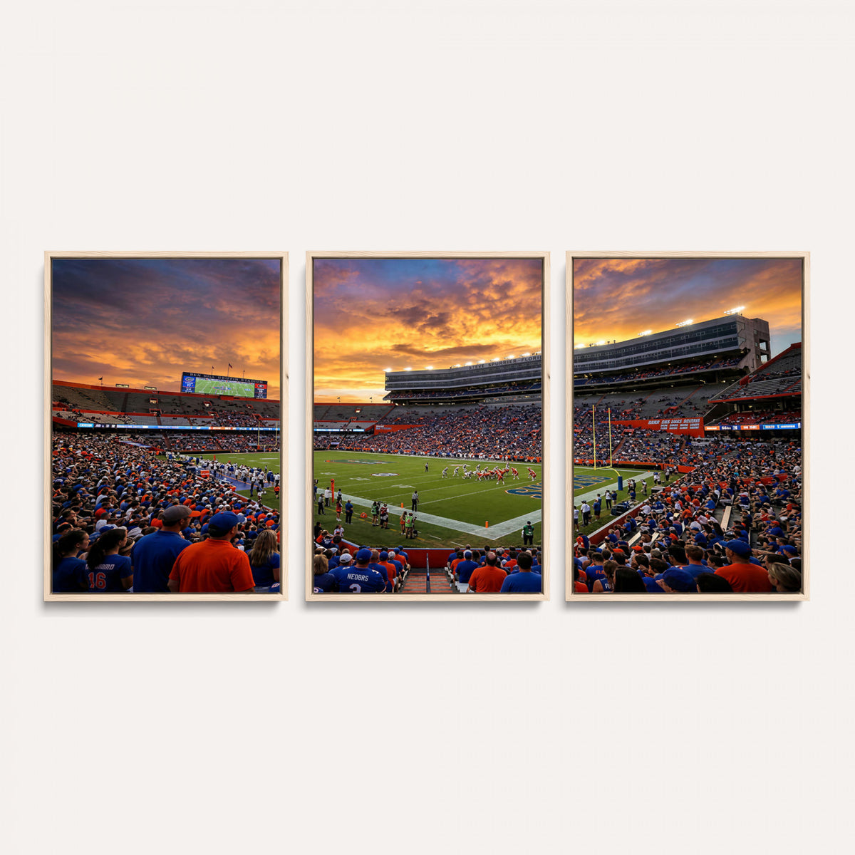 23829865-MGV-CV-36X24 - Stadium Wall Art Canvas Print