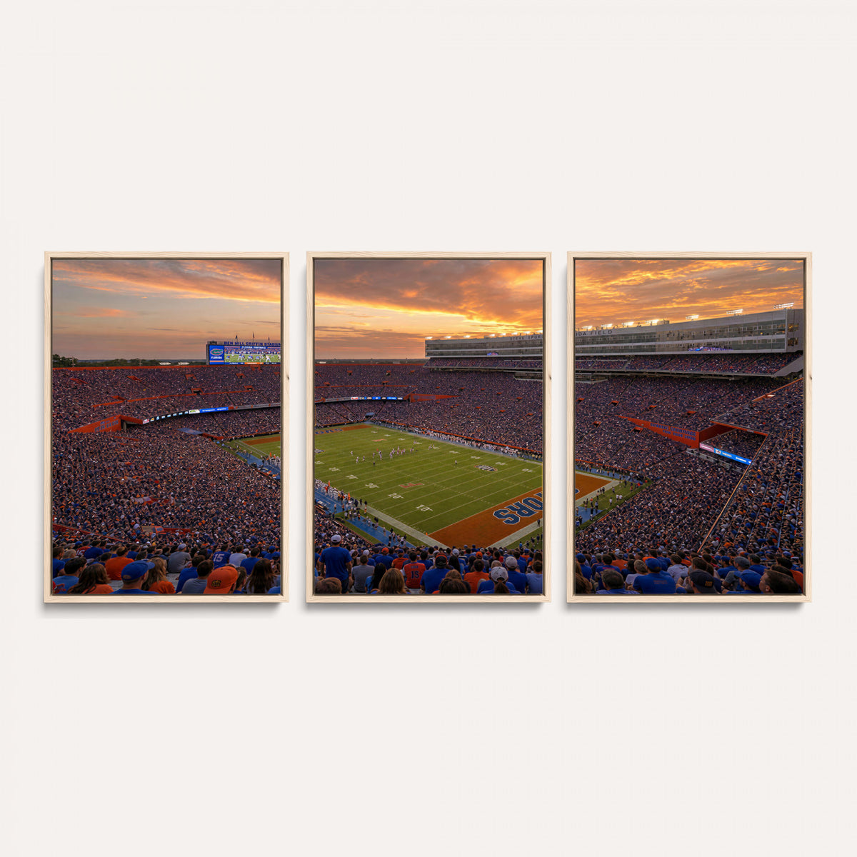 48009171-MGV-CV-36X24 - Stadium Wall Art Canvas Print
