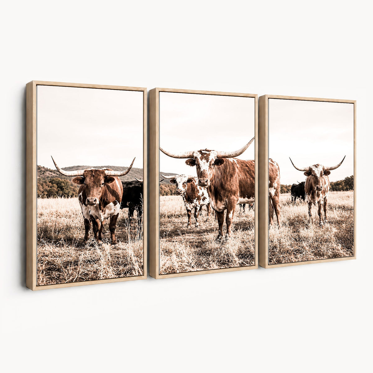 25234808-MGV-CV-48X32-3P - Texas Longhorn Cattle Canvas Wall Art, Western Ranch Home Decor