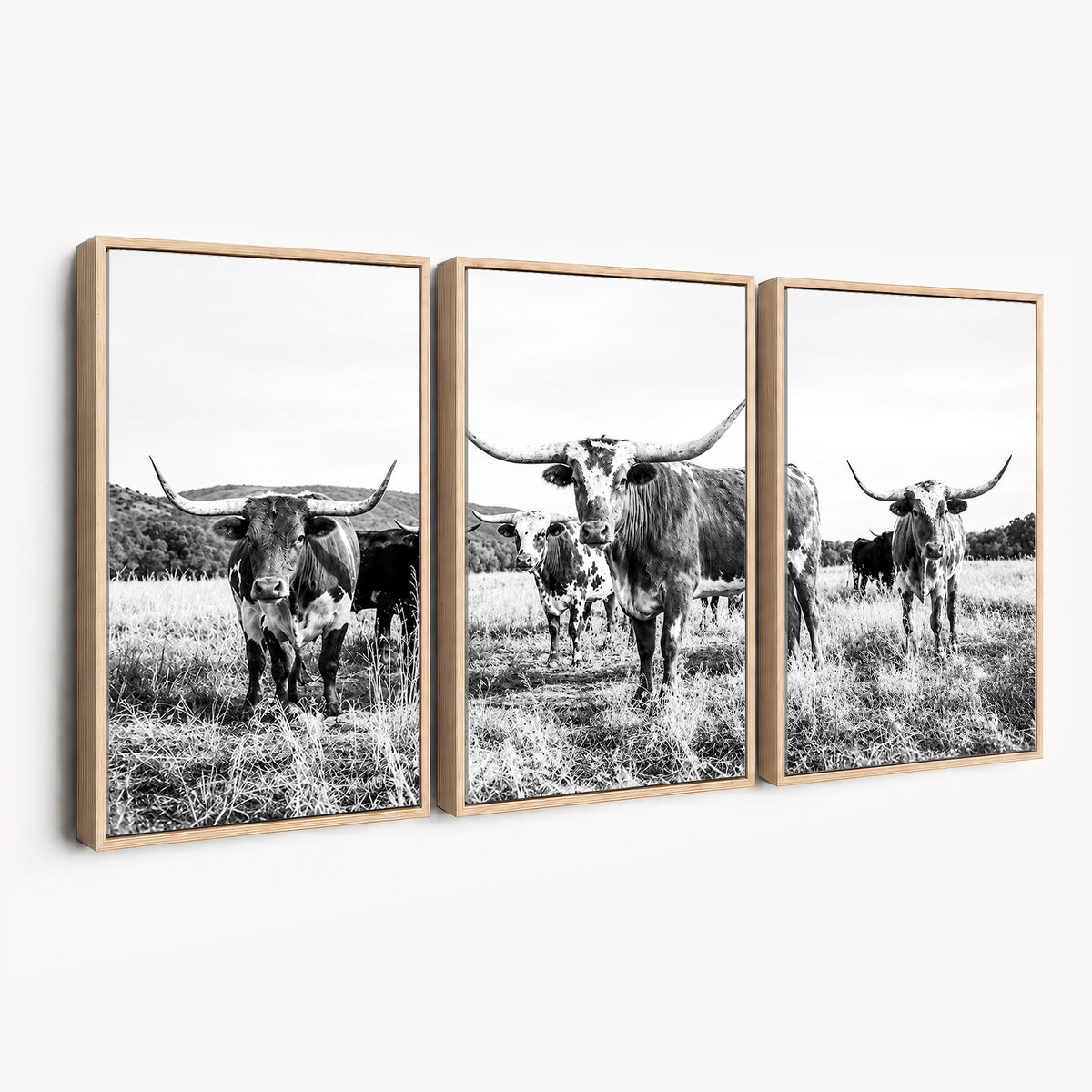 73228277-MGV-CV-48X32-3P - Black and White Longhorn Cattle Canvas Print, Western Ranch Wall Decor