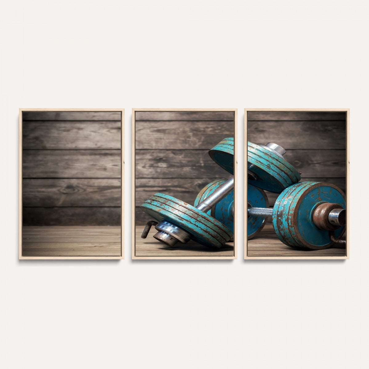 39364-MGV-CV-36X24 - Dumbbell and Sport Wall Art Canvas Print